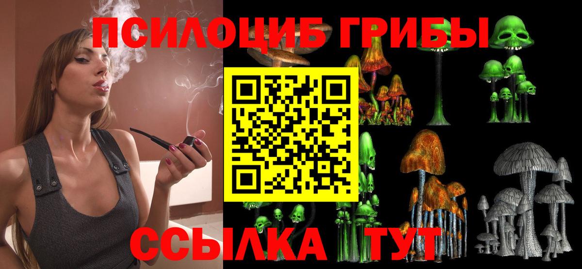 Галлюциногенные грибы прущие грибы Серпухов